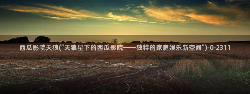 西瓜影院中文字幕