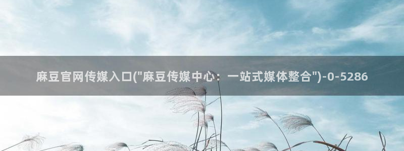 麻豆视频 站整理：麻豆官网传媒入口(\