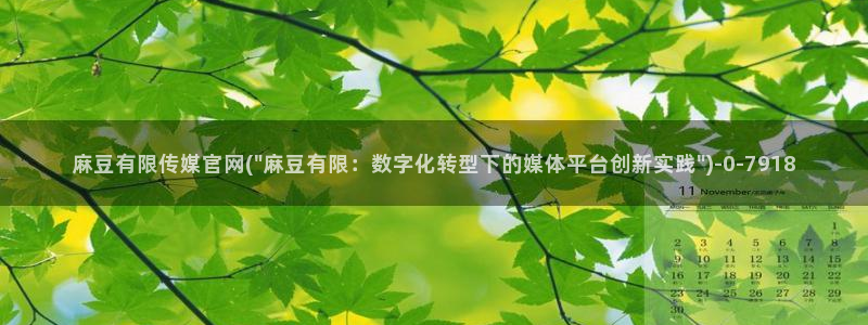 麻豆更新整理：麻豆有限传媒官网(\
