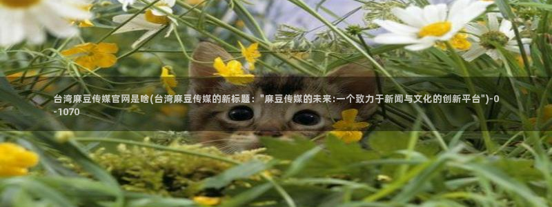 麻豆视频热门高清：台湾麻豆传媒官网是啥(台湾麻豆传媒的新标题：\