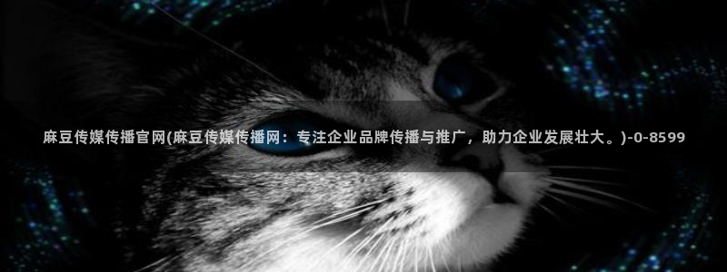 麻豆精选完整版：麻豆传媒传播官网(麻豆传媒传播网：专注企业品牌传播与推广，助力企业发展壮大。)
