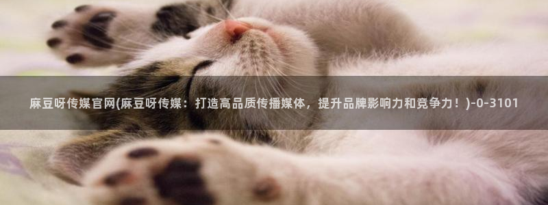 麻豆 入口最新：麻豆呀传媒官网(麻豆呀传媒：打造高品质传播媒体，提升品牌影响力和竞争力！)