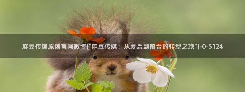 麻豆视频 下载整理：麻豆传媒原创官网微博(\