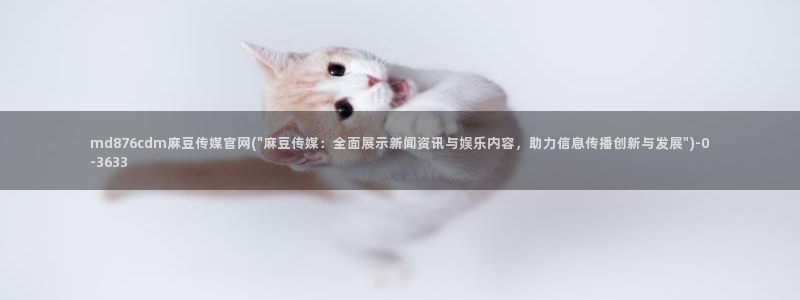 麻豆视频 站在线看