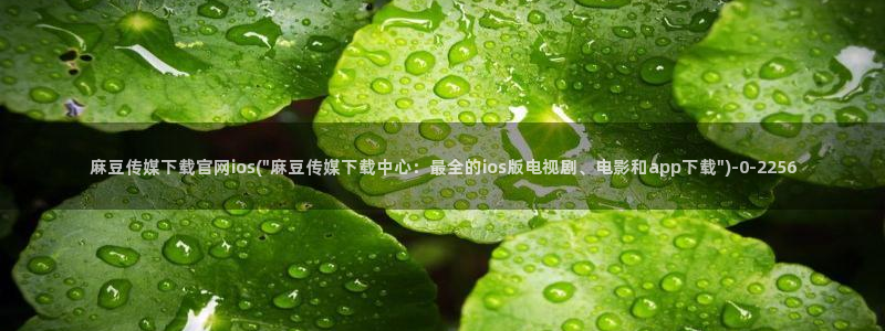 麻豆视频 在线看在线看：麻豆传媒下载官网ios(