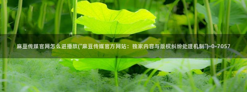 麻豆下载整理：麻豆传媒官网怎么进播放(\
