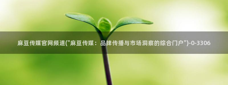 麻豆 合集更新