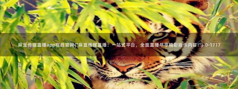 麻豆视频短片整理：麻豆传媒直播app在线官网(\