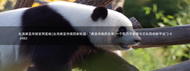 麻豆 最新资源：台湾麻豆传媒官网是啥(台湾麻豆传媒的