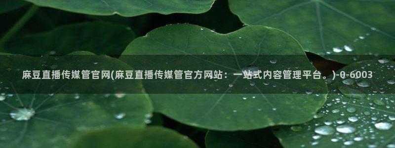 麻豆下载专区：麻豆直播传媒管官网(麻豆直播传媒管