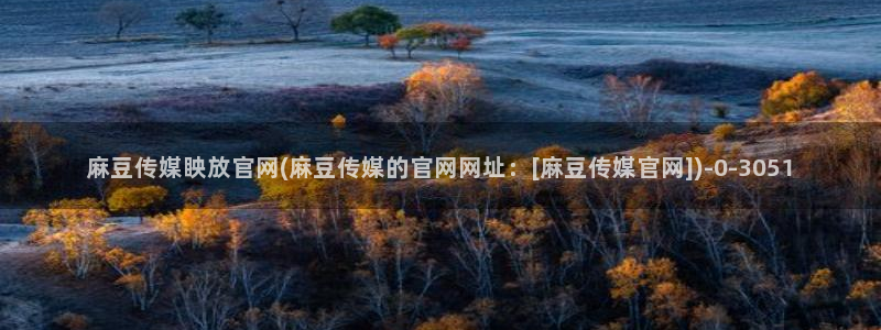 麻豆资源最新：麻豆传媒眏放官网(麻豆传媒的官网网