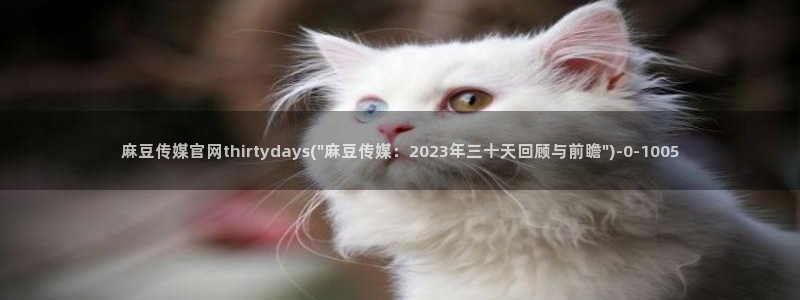 麻豆最新专区：麻豆传媒官网thirtydays(