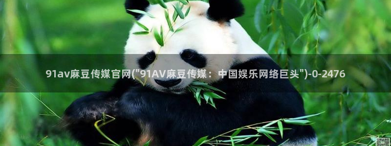 麻豆官方最新：91av麻豆传媒官网(\