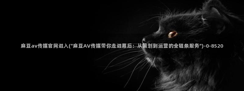 麻豆视频更新资源：麻豆av传媒官网进入(\