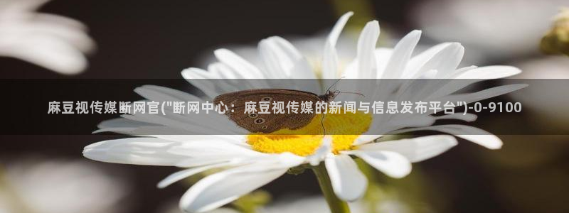 麻豆视频 在线看整理：麻豆视传媒断网官(\