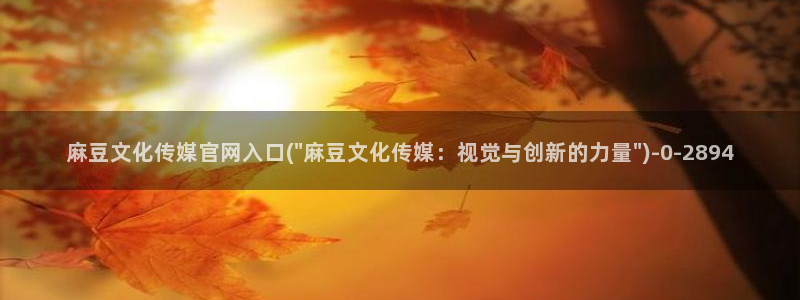 麻豆视频更新导航：麻豆文化传媒官网入口(\