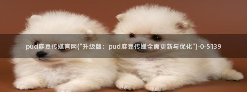麻豆视频图集导航：pud麻豆传媒官网(\