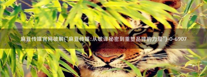 麻豆 最新最新：麻豆传媒官网破解(\