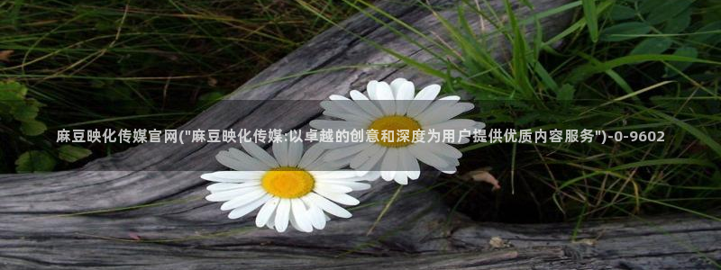 麻豆 官方导航：麻豆映化传媒官网(\