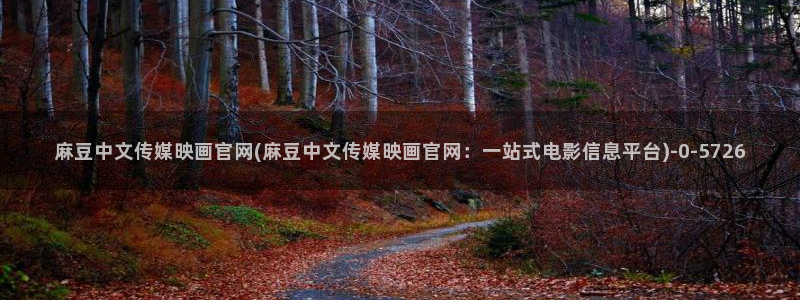 麻豆视频热门入口