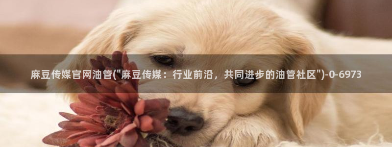 麻豆更新高清