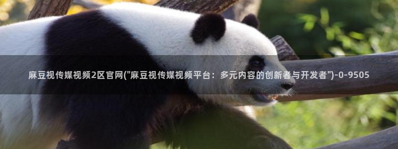 麻豆 合集完整版