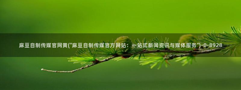 麻豆视频 高清最新：麻豆自制传媒官网黄(\